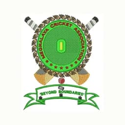 Team logo