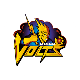 Team logo