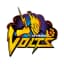 Otago Volts Flag